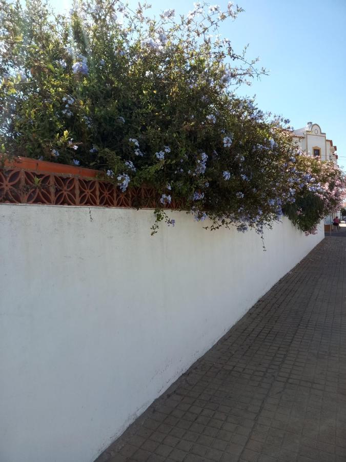 מלון וילה נובה דה מילפונטס Por Do Sol מראה חיצוני תמונה